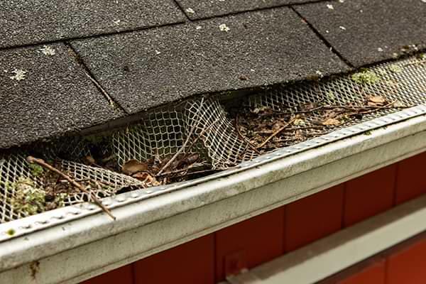 Texas clogged gutters