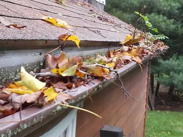 Greater San Antonio clogged gutters